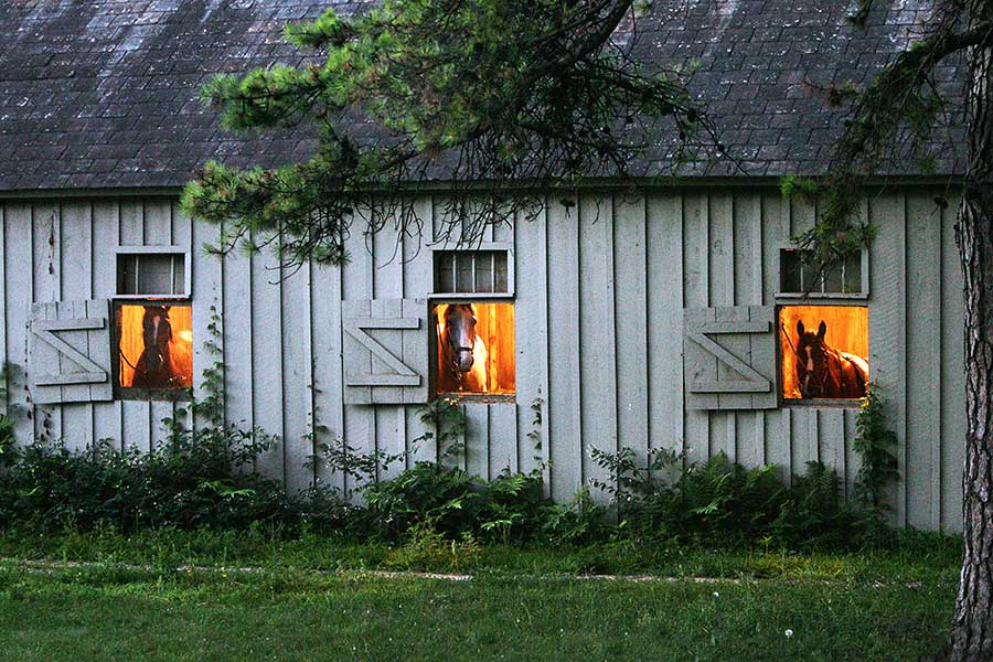 in-barn